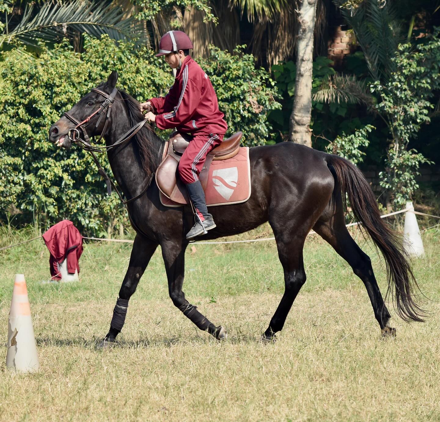 Horse Riding